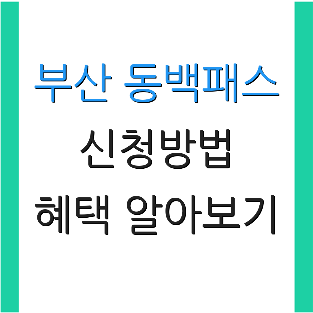 부산 동백패스 신청방법 혜택 알아보기 | 사용 팁 및 리뷰 | 추가 정보