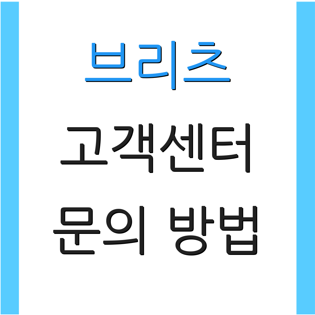 브리츠 고객센터 문의 방법 | 상담 절차 | 추가 정보
