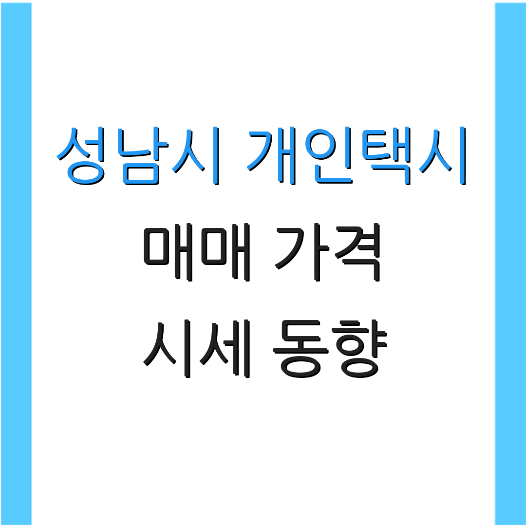 성남시 개인택시 매매 가격 시세 동향 | 면허 가치 | 번호판 시장 분석