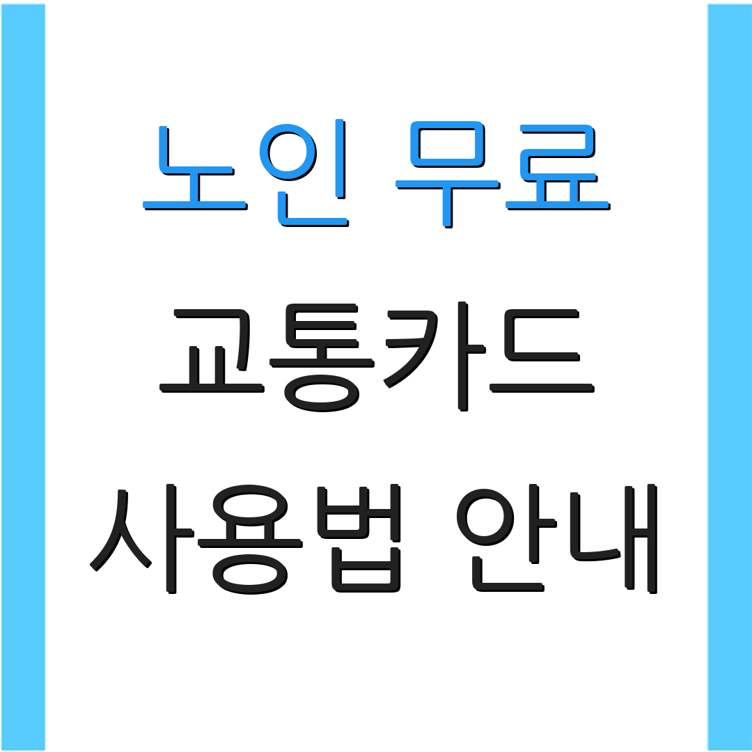 노인 무료 교통카드 사용법 안내 | 신청 절차 확인 | 혜택 안내