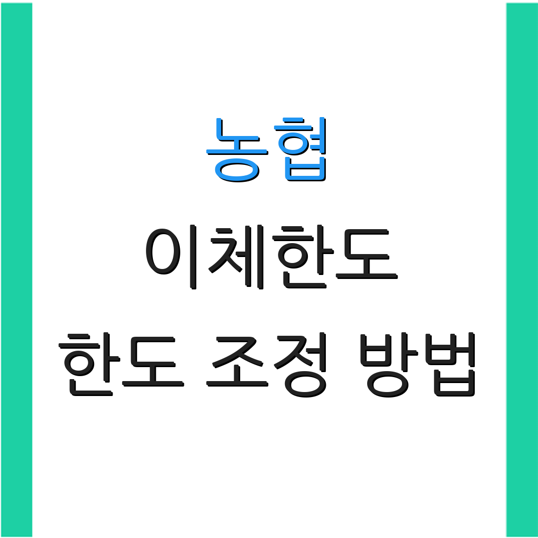 농협 이체한도 한도 조정 방법 | 임시 한도 설정 | 조회 제한 해제