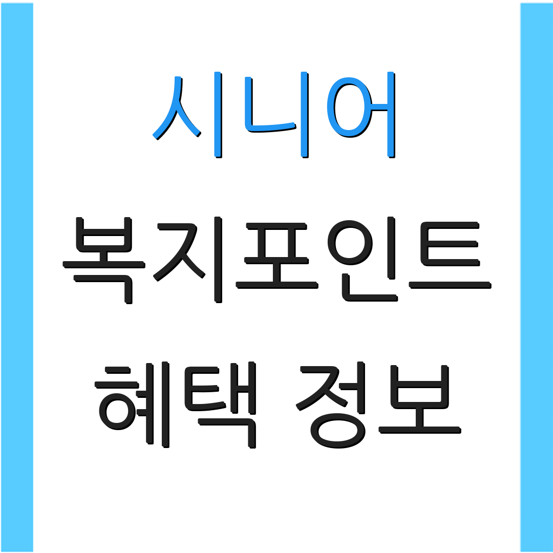 시니어 복지포인트 혜택 정보 | 사용처 안내 | 신청 절차 설명