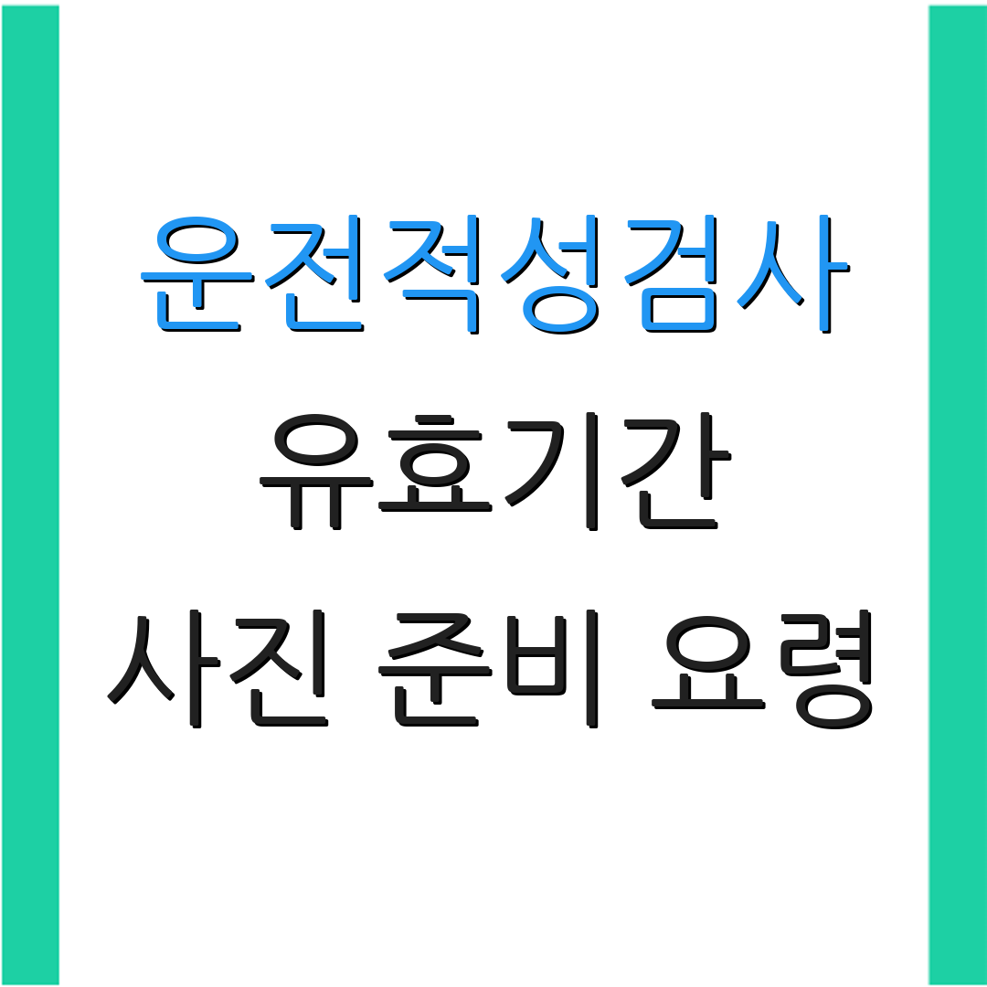 운전적성검사 유효기간 사진 준비 요령