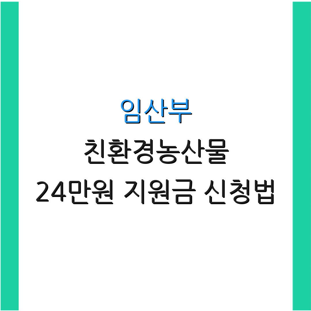임산부 친환경농산물 24만원 지원금 신청법 | 지원금 혜택 안내 | 신청 방법 안내