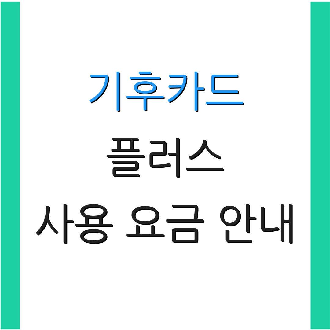 기후카드 플러스 사용 요금 안내 | 발급 절차 정보 | 추가 정보