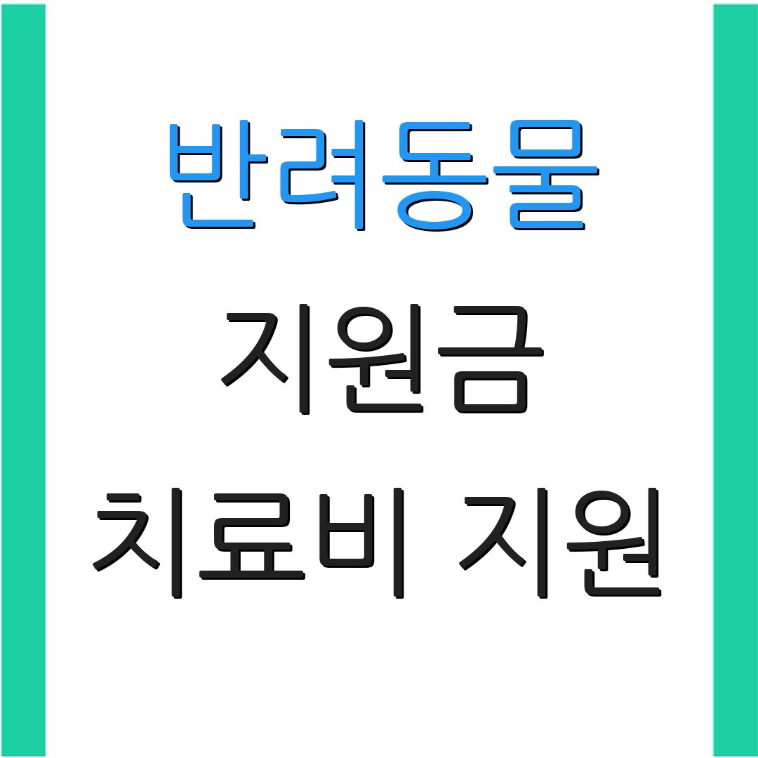반려동물 지원금 치료비 지원 | 등록비 면제 | 예방접종 지원