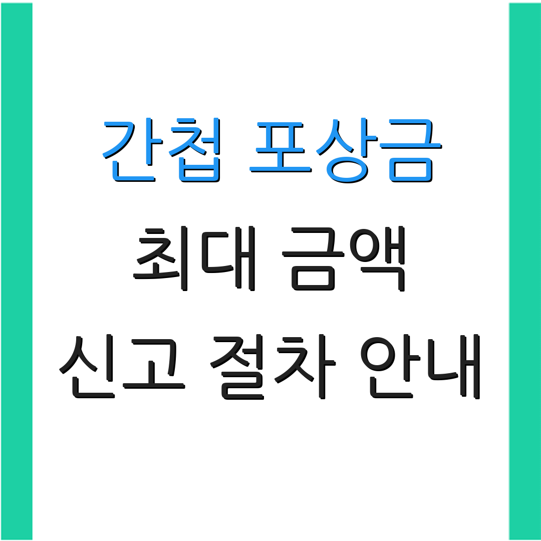 간첩 포상금 최대 금액 신고 절차 안내 | 지급 기준 설명 | 추가 정보