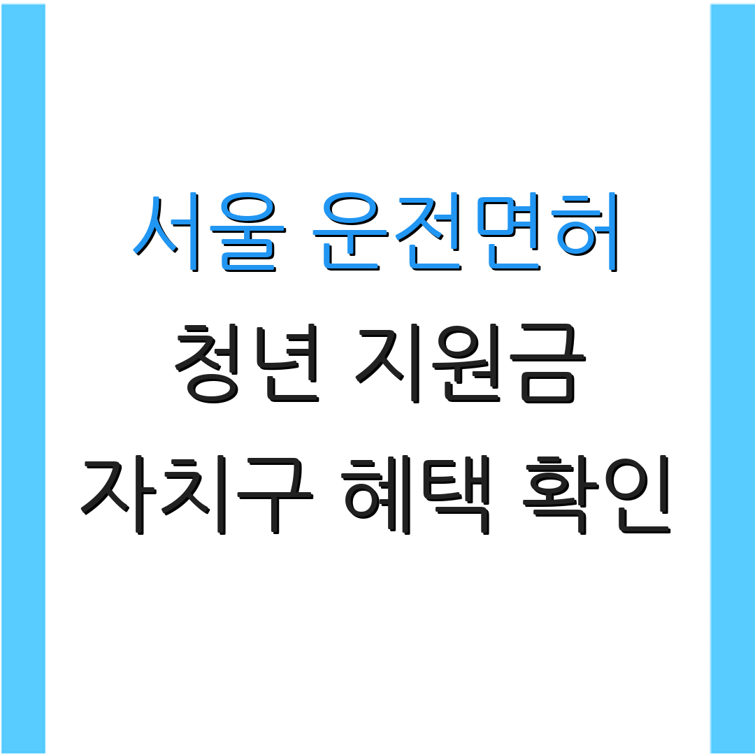 서울 운전면허 청년 지원금 자치구 혜택 확인 | 지역별 조건 살펴보기 | 추가 정보 확인