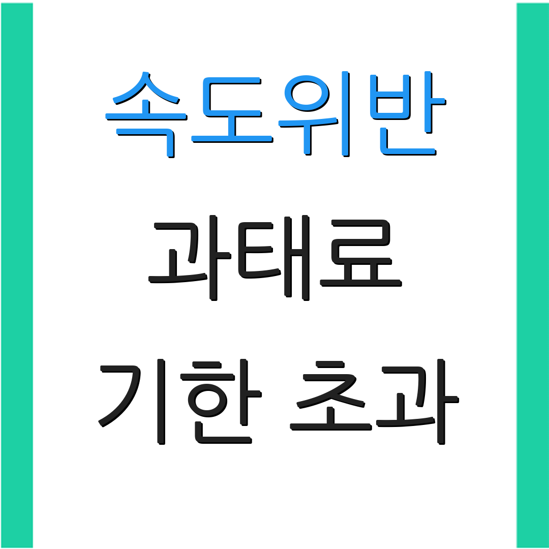 속도위반 과태료 기한 초과 | 연체료 추가 | 벌점 부과