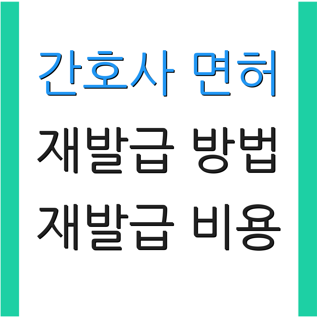 간호사 면허 재발급 방법 재발급 비용 | 제출 서류 | 처리 기간
