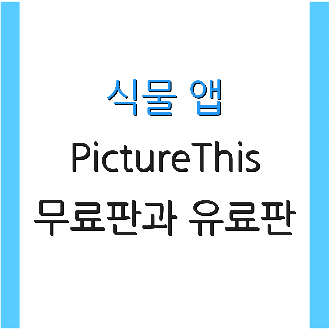 식물 앱 PictureThis 무료판과 유료판 | 사용 방법 | 팁